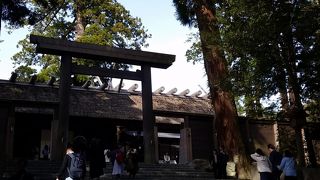 かなり広く歩きます