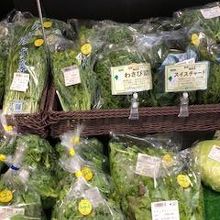 なんといってもフレッシュ