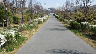 西地区に寄りました