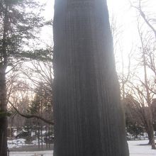 何か書いてあるかは、検索で調べてみて下さいね(-_-;)