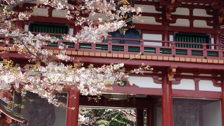 桜の季節だったので、非常に華やかないい雰囲氣の場所でした