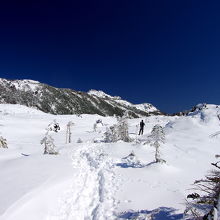 最初は気持ちのいい平原歩き