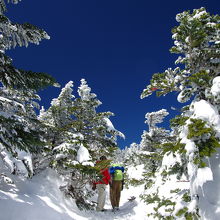 ますます景色が良くなる