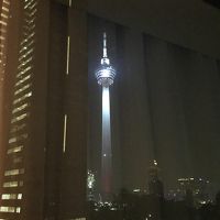 タワーが見えます