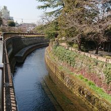 妙正寺川