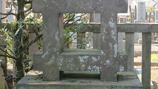 中野駅北口から中野通りを真っ直ぐに