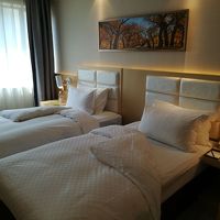 部屋は広く清潔。