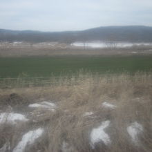 徐行運転のおかげでゆったりと風景が楽しめる良さもあります