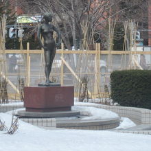 "箱入り”ならぬ”冬囲い”娘状態の春先の像の様子