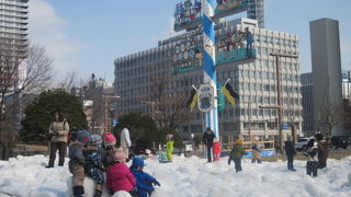 春先は子供達の遊び場にも( ´∀｀ )！