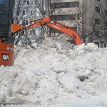 これぞ究極の”雪割り”かもね( ´∀｀ )