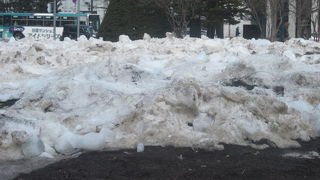 残雪の様子を楽しみながら歩くと楽しい、春先の大通公園