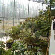 観察通路が立体的で、全体を見渡せる個所もある。