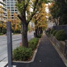 イチョウ並木と坂道の様子