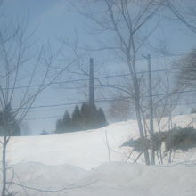 バス車窓からの眺め。知らないと電信柱と見間違いそう(^^;)