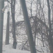 木と同化した風情の煙突。マニアックな楽しみ方です(;'∀')