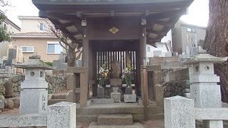 八王子散策で信松院に行きました