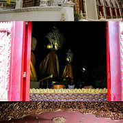 本堂から猫が飛び出してくる野良猫だらけの寺院：Wat Dokkham