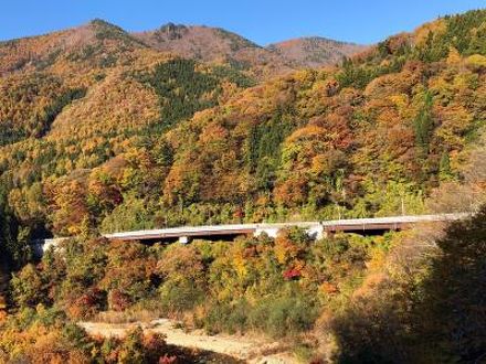緑霞山宿　藤井荘 写真
