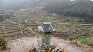 ここから見る棚田の姿は圧巻だわぁ―