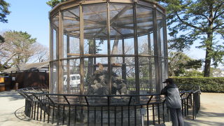 サルが飼育されていました