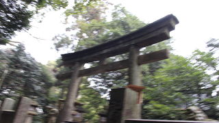 パワースポット