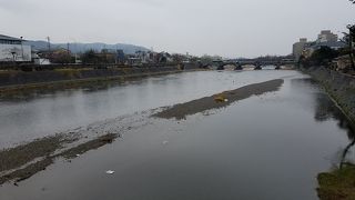 正面橋の辺りは桜並木です