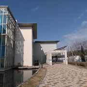 小さいながらも展示は充実の水族館