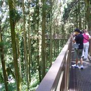 渓頭森林遊楽地の起伏のある所に出来た、木製の橋の散歩道