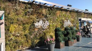 池袋西武の屋上。ホテルオークラのプレミアムソフト（TAVERN（）、ブラウニーホットドッグあり