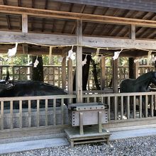 鼻先をなでて祈願します By カブト虫 出雲大社のクチコミ フォートラベル 鼻先をなでて祈願します By カブト虫 出雲大社のクチコミ フォートラベル