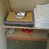 クローゼットの中。タオルとバスタオルが二枚ずつありました。