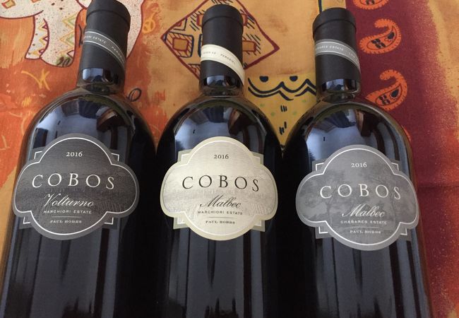 アメリカ人が、この地に惚れ込んで始めたワイナリー、Bodega: 『....Vina Cobos コボス・ワイン....』 （マルベックの里／メンドーサ／アルゼンチン）