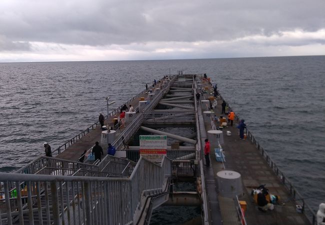 岬町海釣り公園 とっとパーク小島 クチコミ・アクセス・営業時間｜阪南・岬【フォートラベル】