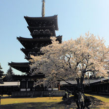 薬師寺　西塔(北側)