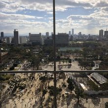 天守閣から見下ろした大阪城公園。広い。