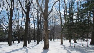 雪は積もるが冬でも散歩できる公園