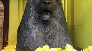 ミモザと黄バラで飾られていました