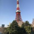東京タワーが間近に見えます