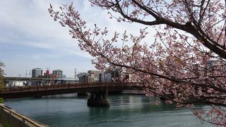 歩いてしか渡れません