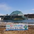 「なかがわ水遊園」は栃木県唯一の水族館