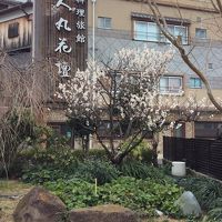 早咲きの桜が満開です。