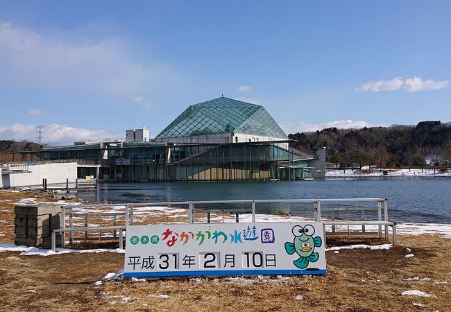 なかがわ水遊園 クチコミ アクセス 営業時間 大田原 黒羽 那珂川 フォートラベル