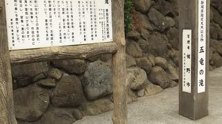 県の指定の天然記念物