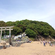 神社鳥居と参道