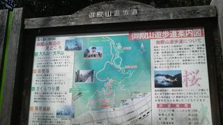 さくらつり橋や蒲原城跡など見どころが多い山です