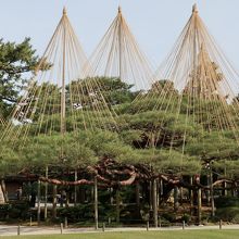 手向けの松とも呼ばれる