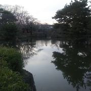 美しい池