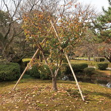 命がつながれている