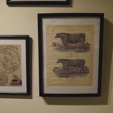 わくわくできる店内装飾。